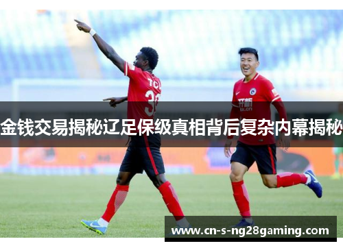 金钱交易揭秘辽足保级真相背后复杂内幕揭秘