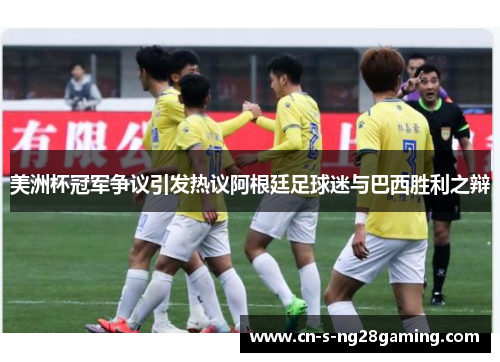 美洲杯冠军争议引发热议阿根廷足球迷与巴西胜利之辩