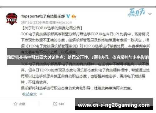 魏震禁赛事件引发四大讨论焦点：处罚公正性、规则执行、体育精神与未来影响