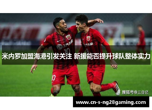 米内罗加盟海港引发关注 新援能否提升球队整体实力