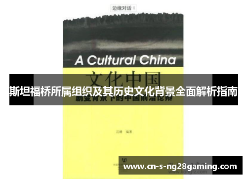 斯坦福桥所属组织及其历史文化背景全面解析指南