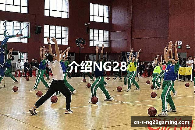 介绍NG28